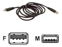 Belkin USB Extension Cable