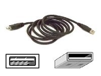 Belkin CABLE USB 6FT EXT A/A CONN M/F