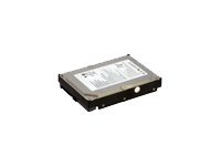 Hypertec hard drive - 500 GB - SATA-300