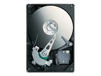 Seagate Momentus ST90250N1A1AS