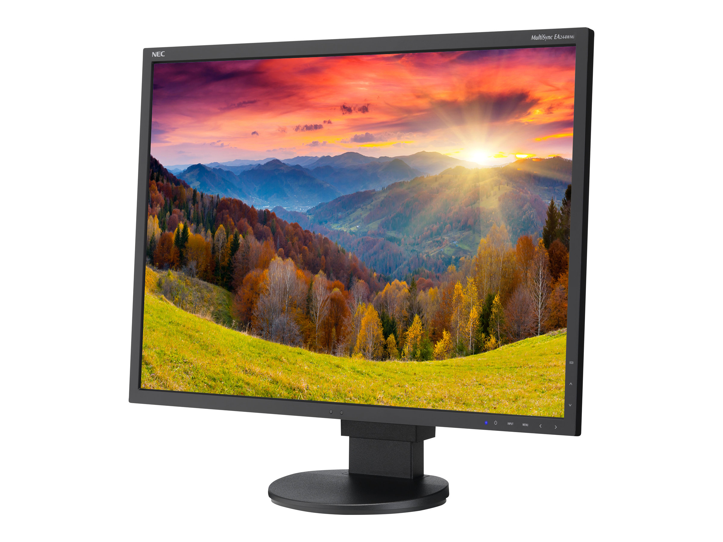 EA244WMI-BK | NEC
