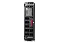 HP StorageWorks D2200sb PCIe Storage Blade