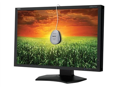 Nec 24In Lcd 1920X1200 Spctvw Dual Dvi-D Vga Displ