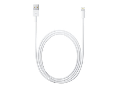 Apple Lightning to USB Cable