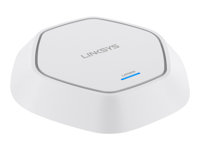Linksys Business LAPN300 - Punto de acceso inalámbrico - 802.11b/g/n