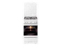 Amica SHGG 11159 W - Herd, SHGG11159W