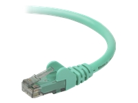 Belkin