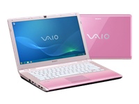 350 - Sony VAIO CW Series VPC-CW2S1E/P