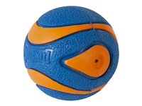 chuckit squeaker ball