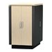 24u APC NetShelter CX Sound Proof Enclosure