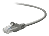 Belkin