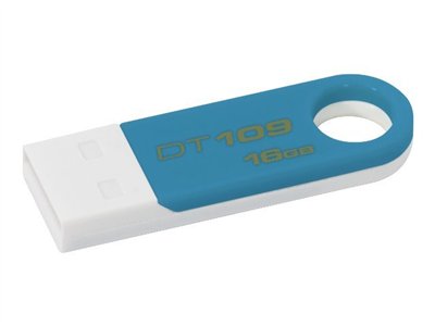 Kingston DataTraveler 109
