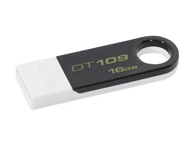 Kingston DataTraveler 109