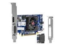Hewlett Packard - Hp Amd Radeon Hd 7450 Dp (1Gb) P