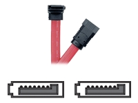 Tripp Lite Serial ATA cable - 7 pin Serial ATA - 7 pin Serial ATA - 1.6 ft - Serial ATA cable - 7 pin Serial ATA - 7 pin Serial ATA - 1.6 ft