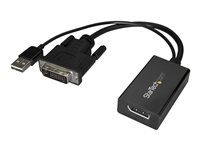 DVI-D to DP Video Adapter - DVI to DisplayPort Converter