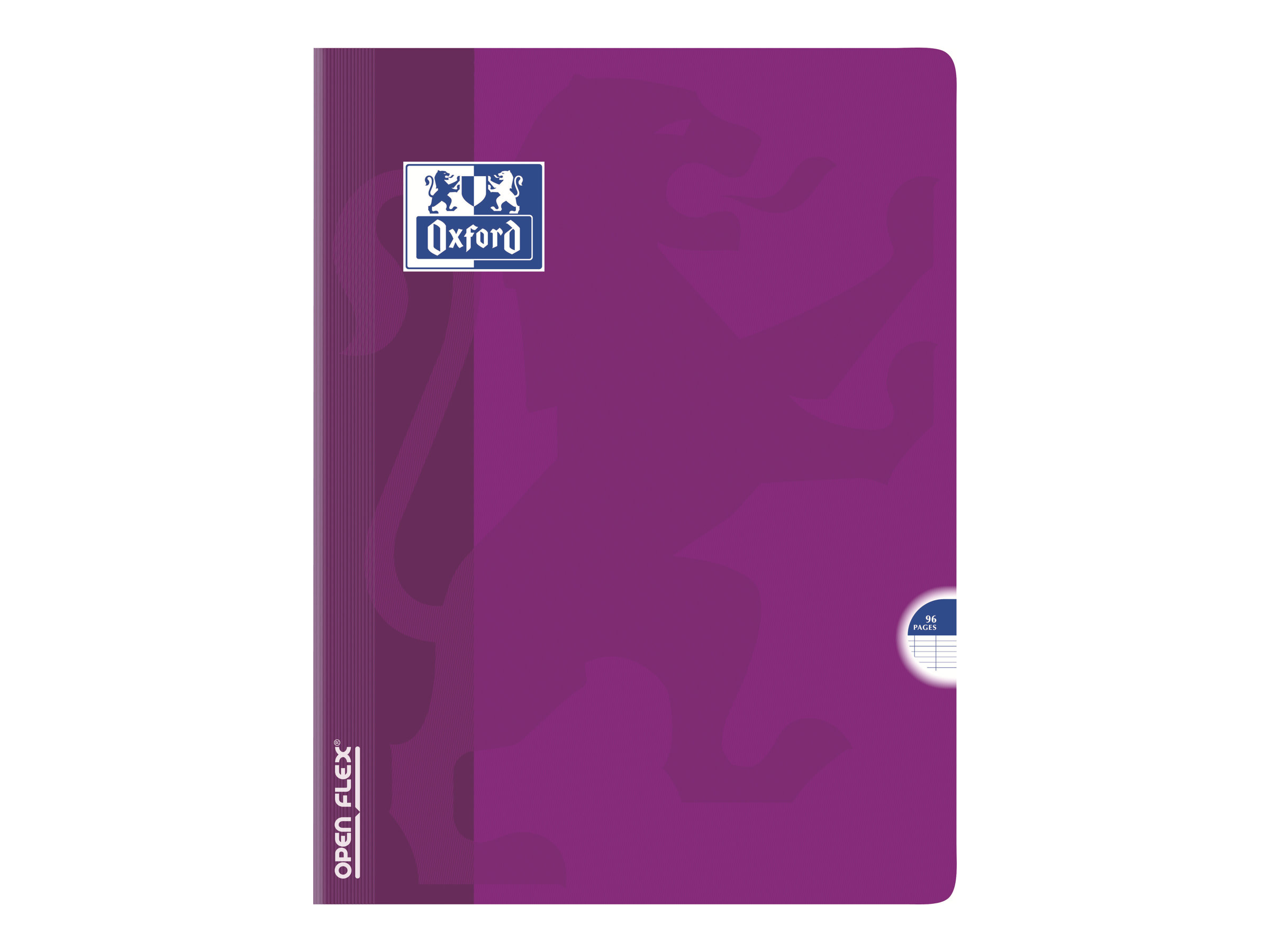 Cahier 24 X 32 96 Pages