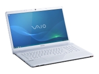 300 - Sony VAIO E Series VPC-EC1M1E/WI