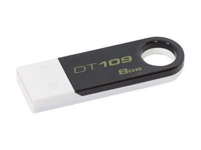 Kingston DataTraveler 109