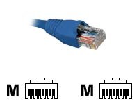 Nexxt - Cable de interconexión - RJ-45 (M) a RJ-45 (M)