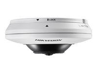 Hikvision 5MP Fisheye DS-2CD2955FWD-IS - Cámara de vigilancia de red - cúpula