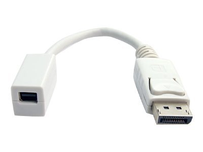 StarTech.com DisplayPort to Mini DisplayPort Video Cable Adapter