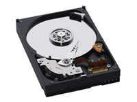 Western Digital WD AV WD3200AVJB - Festplatte
