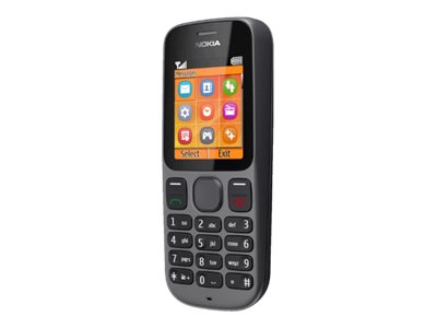 Nokia 100
