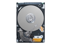 Seagate Momentus 7200.4 ST9320423AS