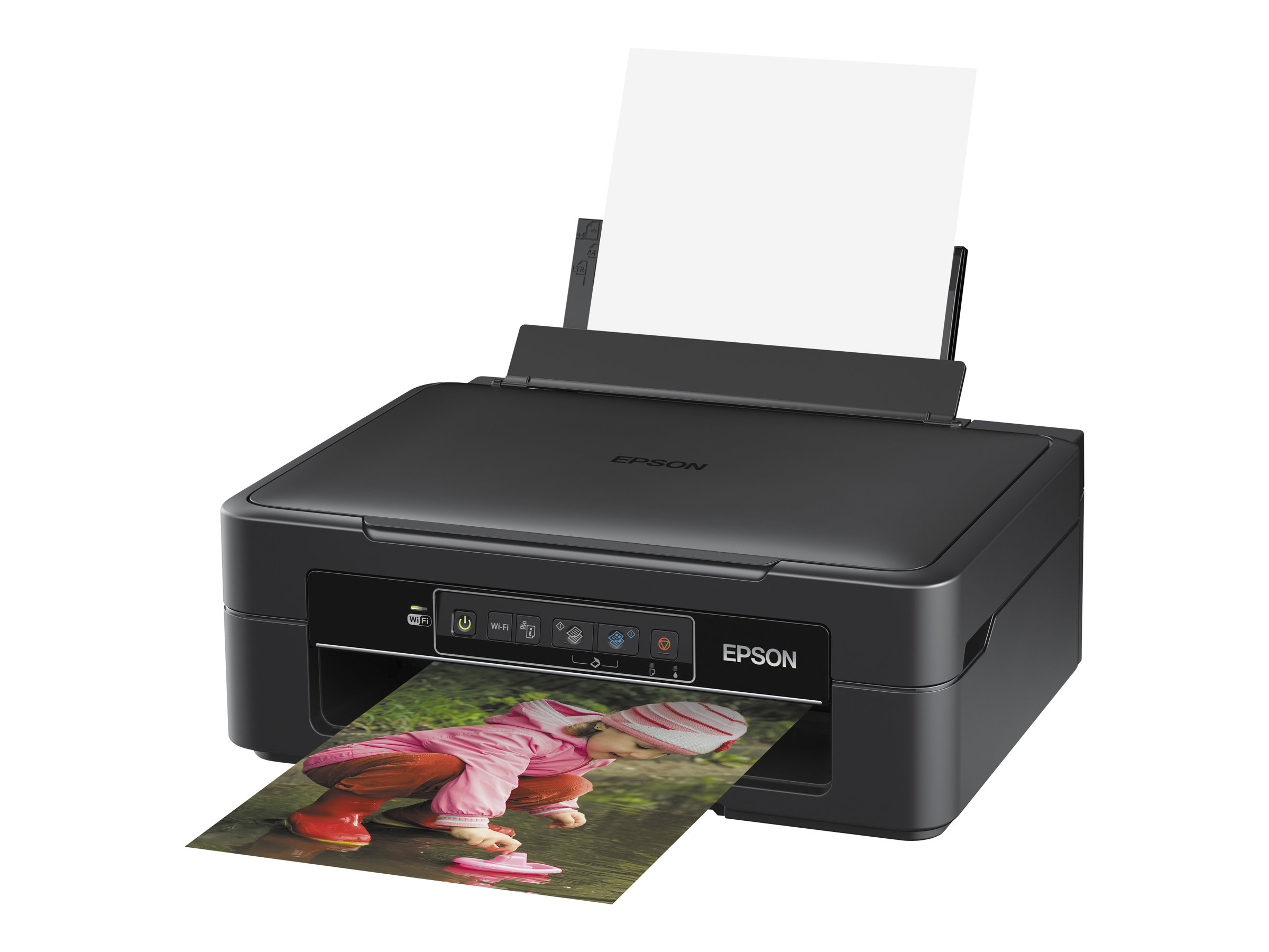 epson expression home xp 245