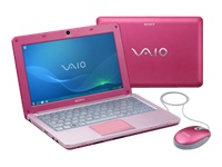 300 - Sony VAIO W Series VPC-W12J1E/P
