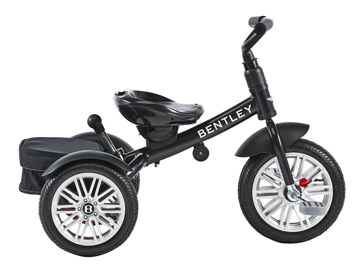 Bentley Tricycle Convertible Stroller London Drugs