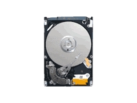 Seagate Momentus 5400.6 ST9500325AS