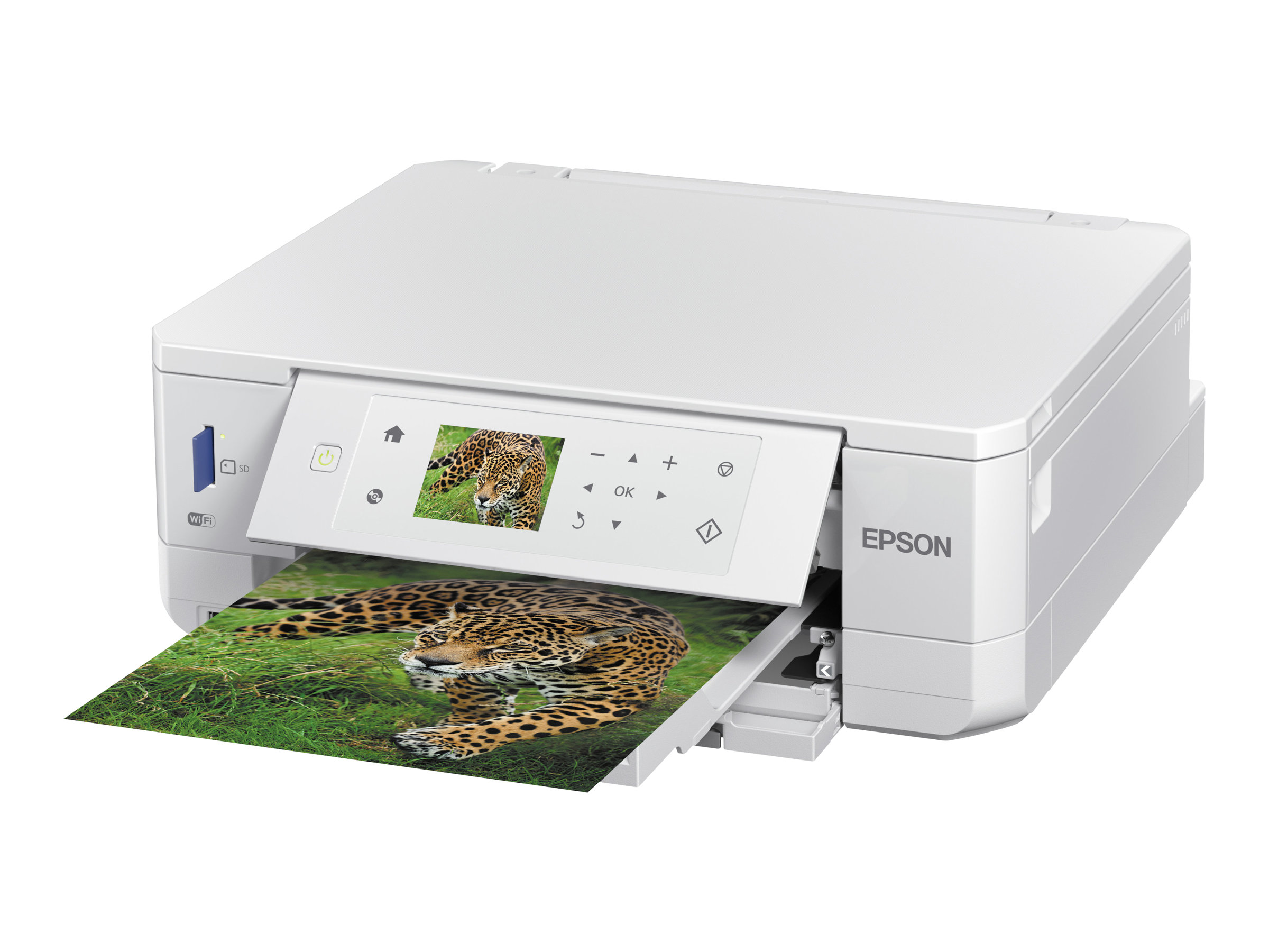 Epson Expression Premium XP-645 - imprimante multifonctions (couleur ...