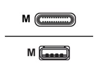 Poly - Cable USB - USB (M) a USB-C (M)