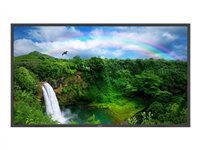 NEC MultiSync P461 - 46 Professional Series écran plat LCD - écran large - 1080p - noir