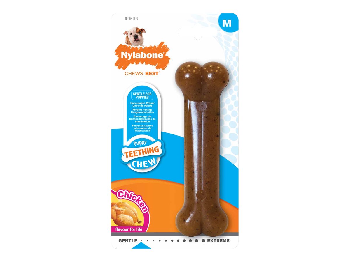 Nylabone Dental Chew for Puppies Chicken Medium London Drugs