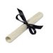 Product Image: TOINSEDU10