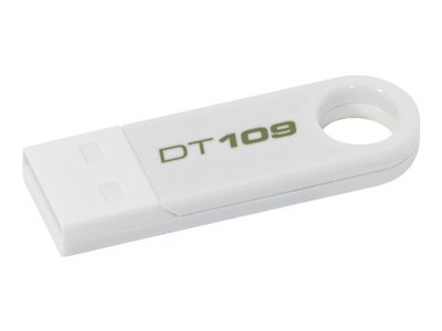 Kingston DataTraveler 109
