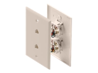 Steren 4C Dual Jack Plate