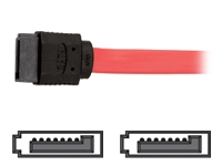 Tripp Lite Serial ATA cable - 7 pin Serial ATA - 7 pin Serial ATA - 1.6 ft - Serial ATA cable - 7 pin Serial ATA - 7 pin Serial ATA - 1.6 ft