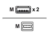 Belkin USB Y to Mini B Cable