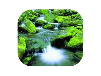 Fellowes Cascades
