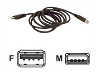 Belkin USB Extension Cable