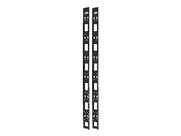 Vertical Cable Organizer, NetShelter ValueLine, 42U (Qty 2)