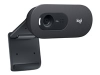 Logitech C505e - Webcam - color