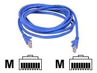 Belkin