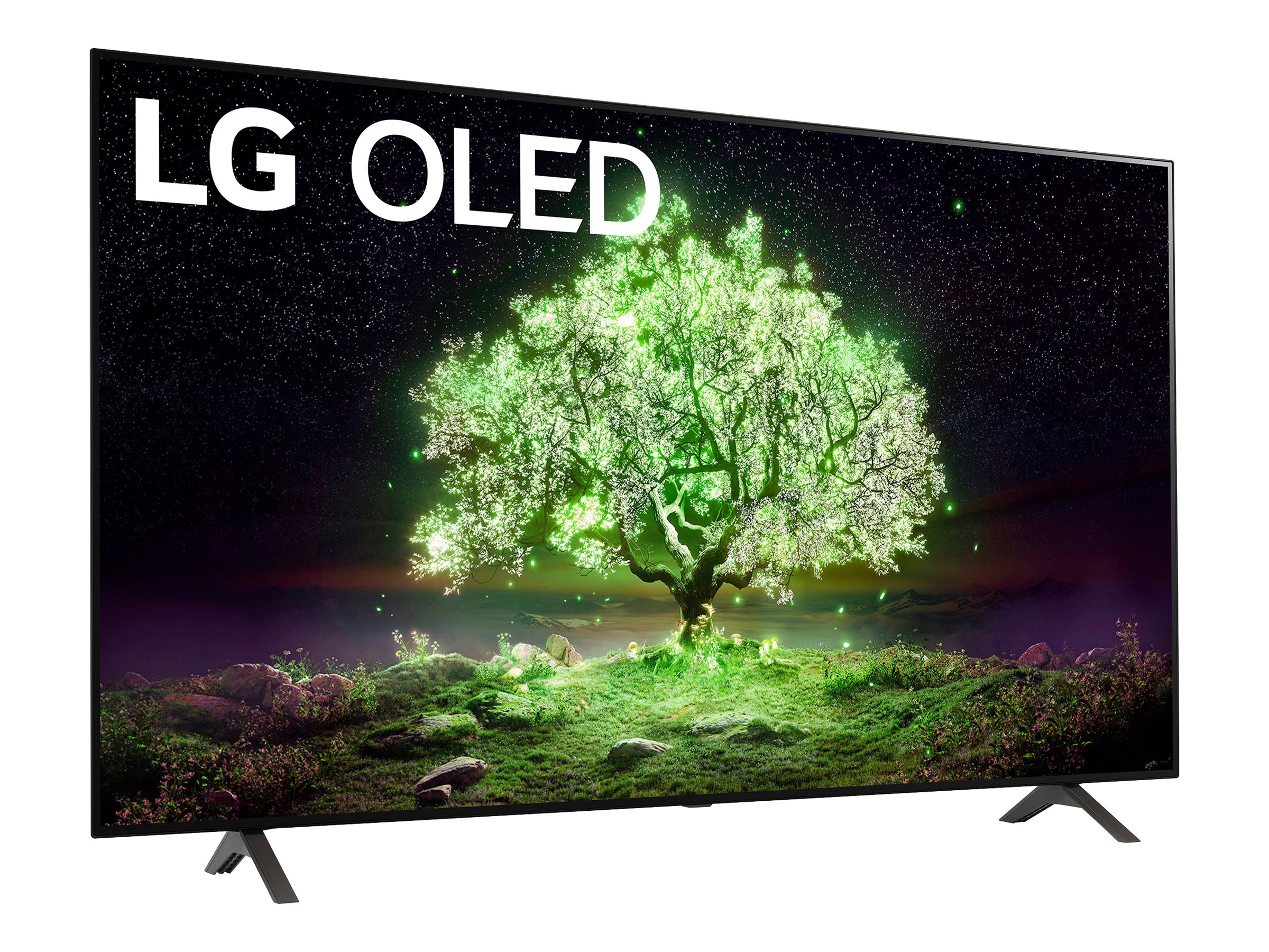 LG A1 Series 4K HDR OLED Smart TV 65 Inch OLED65A1PUA