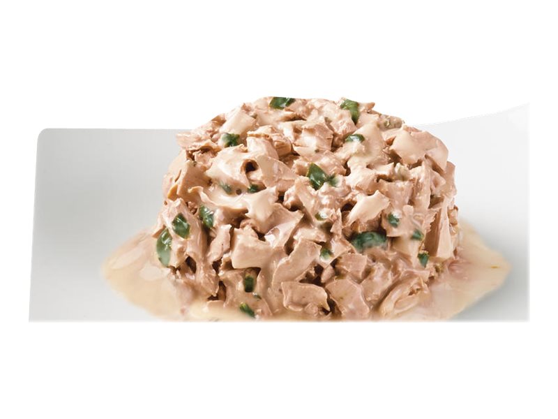 Fancy Feast Medley for Cats Wild Salmon Florentine 85g London Drugs