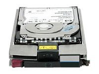HP Dual Port